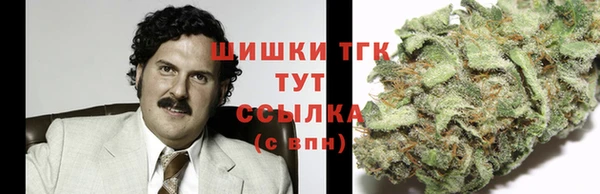 трава Арсеньев