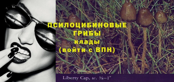 гашик Армянск
