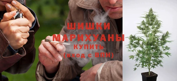 трава Арсеньев