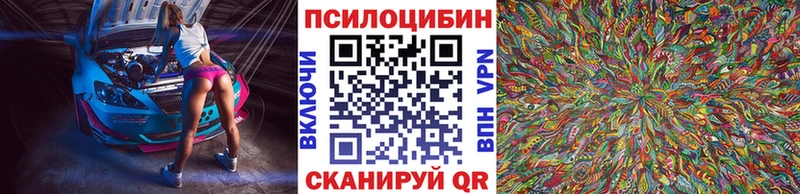 Псилоцибиновые грибы Cubensis  Купить закладки  Николаевск-на-Амуре 